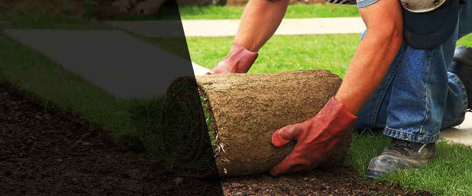 Richton Landscapers